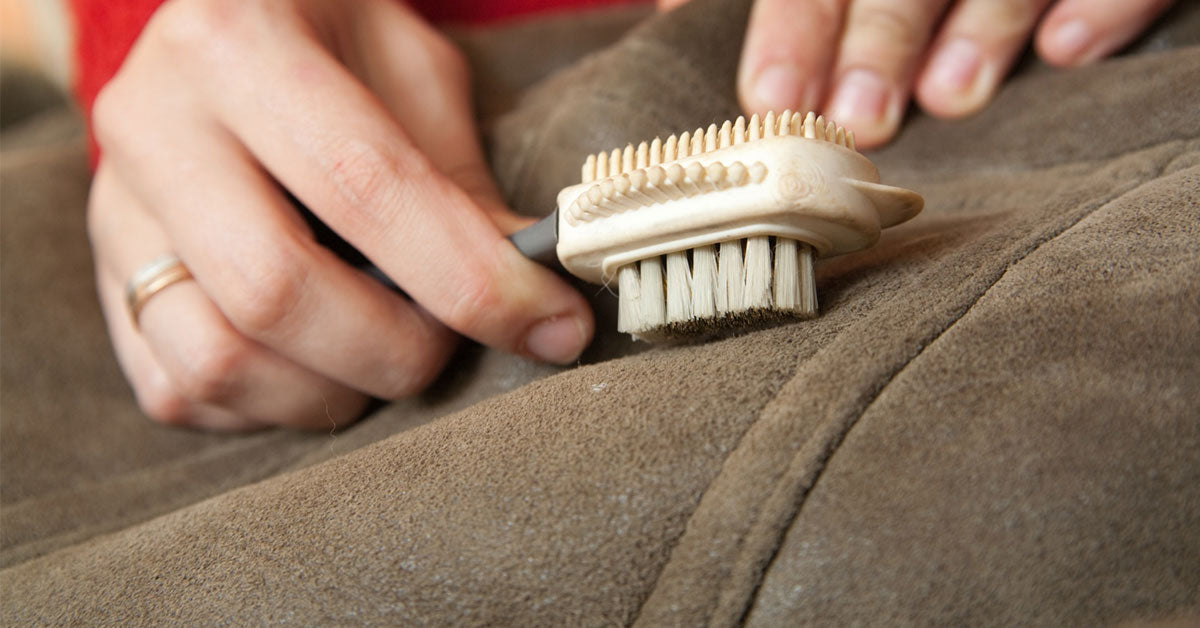 Person removing mold from leather using a special double sided brush