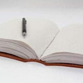 The Diary Open