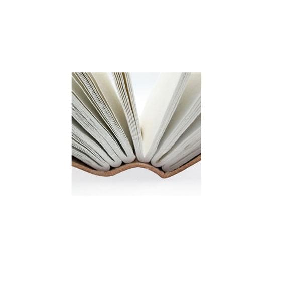 The Dragon Pages