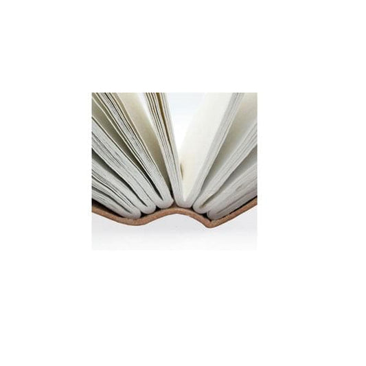 The Dragon Pages