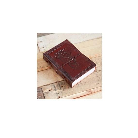 The Dragon Journal